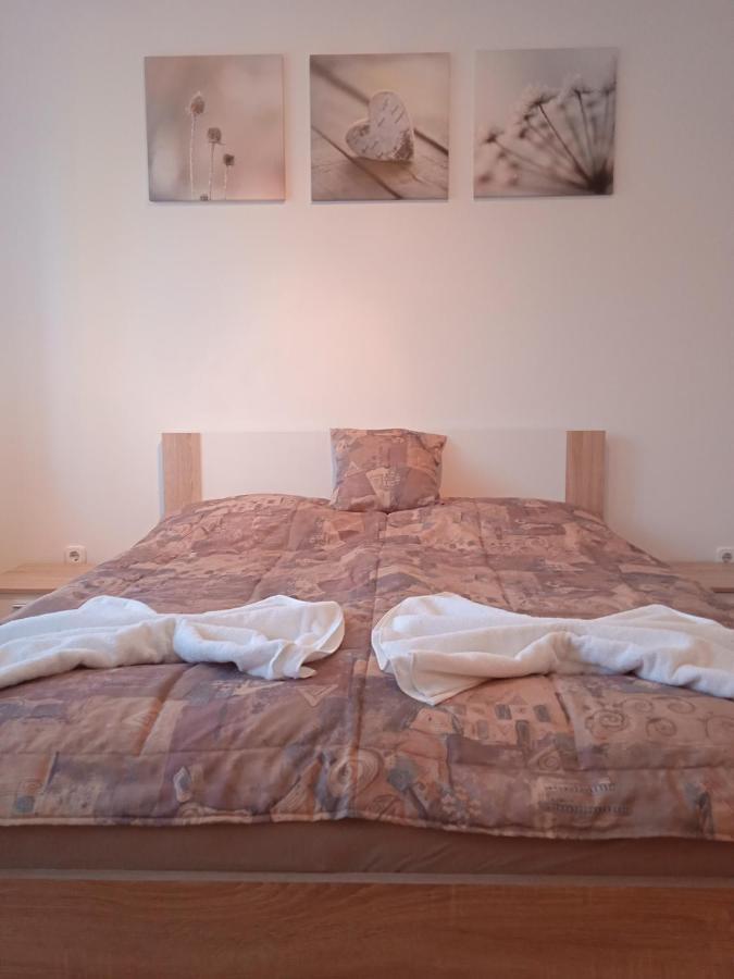 Family Apartment-Csaladias Hangulat Γκιόρ Εξωτερικό φωτογραφία